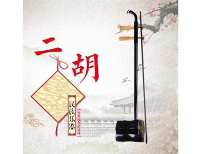 招聘东营二胡家教老师